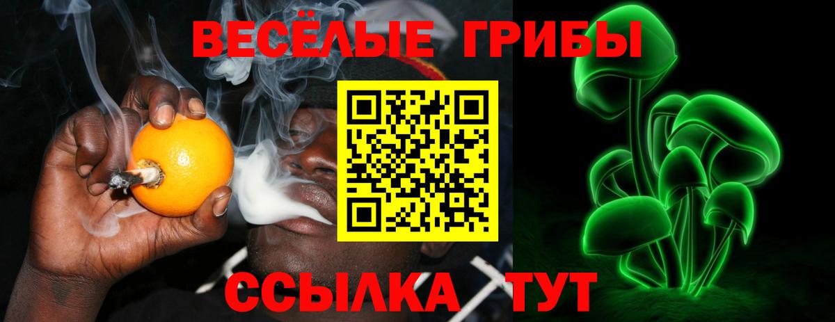 Псилоцибиновые грибы MAGIC MUSHROOMS  Галлюциногенные грибы ЛСД  Вход с VPN  Бердск 